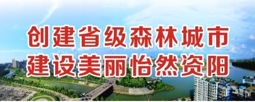 内射骚逼嫖娼视频创建省级森林城市 建设美丽怡然资阳